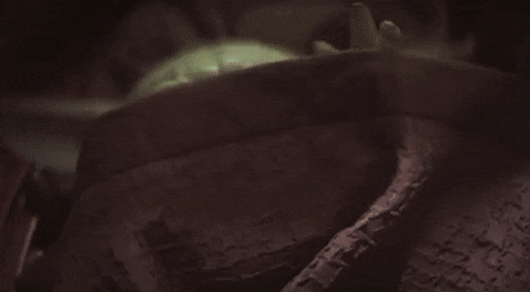 Baby Yoda Reveal