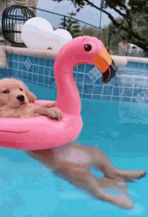 Friday Mood