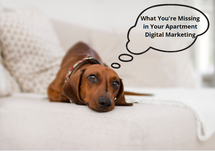 What You're Missing in Your Apartment Digital Marketing